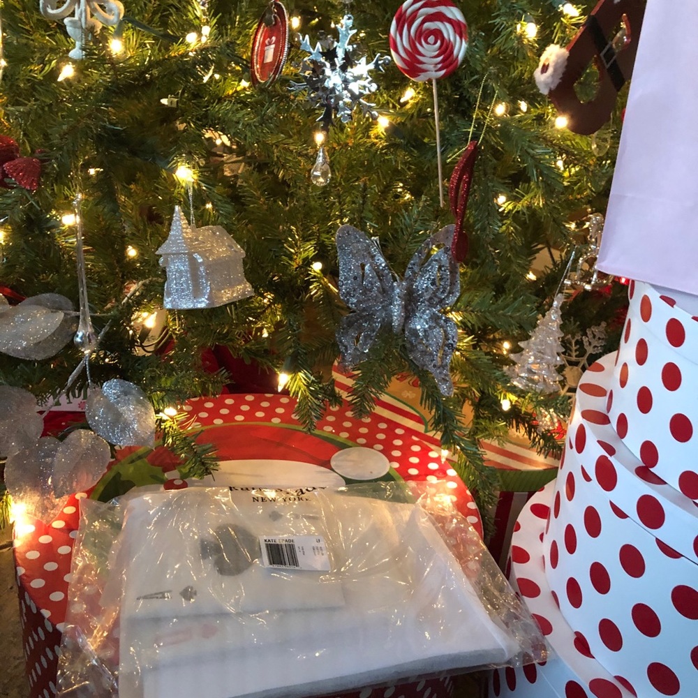 Kate Spade ♠️ 3Ring Pouch Bags - Picture 16 of 16